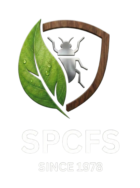 spcfs logo wood dark no background